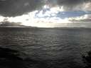 ./images/koeye/fitz-hugh/20141019/fitz-hugh20141019_162002.jpg