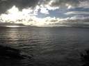 ./images/koeye/fitz-hugh/20141019/fitz-hugh20141019_163502.jpg