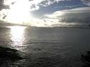./images/koeye/fitz-hugh/20141019/fitz-hugh20141019_164002.jpg