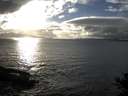 ./images/koeye/fitz-hugh/20141019/fitz-hugh20141019_164502.jpg
