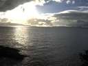 ./images/koeye/fitz-hugh/20141019/fitz-hugh20141019_165002.jpg