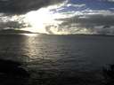 ./images/koeye/fitz-hugh/20141019/fitz-hugh20141019_165501.jpg