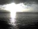 ./images/koeye/fitz-hugh/20141019/fitz-hugh20141019_172002.jpg