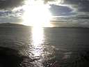 ./images/koeye/fitz-hugh/20141019/fitz-hugh20141019_174002.jpg