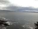 ./images/koeye/fitz-hugh/20141020/fitz-hugh20141020_074502.jpg