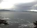 ./images/koeye/fitz-hugh/20141020/fitz-hugh20141020_075502.jpg