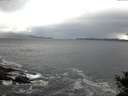 ./images/koeye/fitz-hugh/20141020/fitz-hugh20141020_080002.jpg