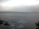 ./images/koeye/fitz-hugh/20141020/fitz-hugh20141020_080501.jpg