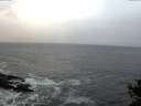 ./images/koeye/fitz-hugh/20141020/fitz-hugh20141020_081002.jpg