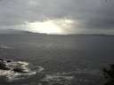 ./images/koeye/fitz-hugh/20141020/fitz-hugh20141020_085502.jpg