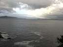 ./images/koeye/fitz-hugh/20141020/fitz-hugh20141020_090502.jpg
