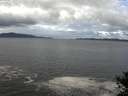 ./images/koeye/fitz-hugh/20141020/fitz-hugh20141020_103502.jpg