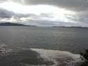 ./images/koeye/fitz-hugh/20141020/fitz-hugh20141020_105502.jpg