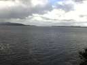 ./images/koeye/fitz-hugh/20141020/fitz-hugh20141020_115503.jpg