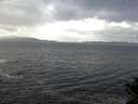 ./images/koeye/fitz-hugh/20141020/fitz-hugh20141020_120503.jpg