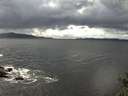 ./images/koeye/fitz-hugh/20141020/fitz-hugh20141020_140003.jpg