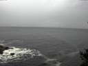 ./images/koeye/fitz-hugh/20141020/fitz-hugh20141020_143503.jpg