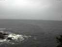 ./images/koeye/fitz-hugh/20141020/fitz-hugh20141020_144002.jpg