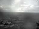 ./images/koeye/fitz-hugh/20141020/fitz-hugh20141020_145503.jpg