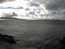 ./images/koeye/fitz-hugh/20141020/fitz-hugh20141020_153502.jpg