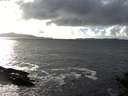 ./images/koeye/fitz-hugh/20141020/fitz-hugh20141020_155501.jpg