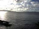 ./images/koeye/fitz-hugh/20141020/fitz-hugh20141020_160501.jpg