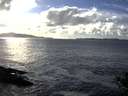 ./images/koeye/fitz-hugh/20141020/fitz-hugh20141020_161501.jpg
