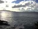 ./images/koeye/fitz-hugh/20141020/fitz-hugh20141020_162001.jpg