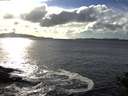 ./images/koeye/fitz-hugh/20141020/fitz-hugh20141020_162503.jpg
