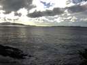 ./images/koeye/fitz-hugh/20141020/fitz-hugh20141020_163503.jpg