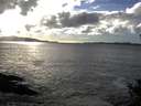 ./images/koeye/fitz-hugh/20141020/fitz-hugh20141020_164002.jpg