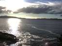 ./images/koeye/fitz-hugh/20141020/fitz-hugh20141020_165003.jpg