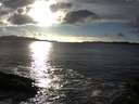 ./images/koeye/fitz-hugh/20141020/fitz-hugh20141020_170503.jpg