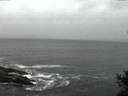 ./images/koeye/fitz-hugh/20141021/fitz-hugh20141021_074002.jpg