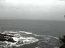 ./images/koeye/fitz-hugh/20141021/fitz-hugh20141021_074502.jpg