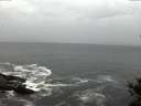 ./images/koeye/fitz-hugh/20141021/fitz-hugh20141021_075002.jpg