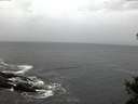 ./images/koeye/fitz-hugh/20141021/fitz-hugh20141021_080003.jpg