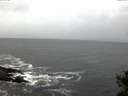 ./images/koeye/fitz-hugh/20141021/fitz-hugh20141021_080502.jpg
