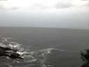 ./images/koeye/fitz-hugh/20141021/fitz-hugh20141021_081003.jpg