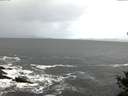 ./images/koeye/fitz-hugh/20141021/fitz-hugh20141021_085001.jpg