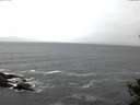 ./images/koeye/fitz-hugh/20141021/fitz-hugh20141021_085501.jpg