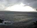 ./images/koeye/fitz-hugh/20141021/fitz-hugh20141021_090501.jpg