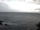./images/koeye/fitz-hugh/20141021/fitz-hugh20141021_091002.jpg