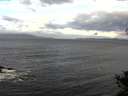 ./images/koeye/fitz-hugh/20141021/fitz-hugh20141021_094002.jpg