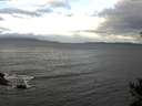 ./images/koeye/fitz-hugh/20141021/fitz-hugh20141021_094502.jpg