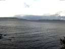 ./images/koeye/fitz-hugh/20141021/fitz-hugh20141021_101003.jpg