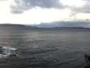 ./images/koeye/fitz-hugh/20141021/fitz-hugh20141021_101503.jpg