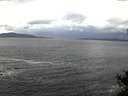 ./images/koeye/fitz-hugh/20141021/fitz-hugh20141021_105002.jpg