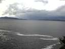 ./images/koeye/fitz-hugh/20141021/fitz-hugh20141021_105503.jpg