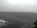 ./images/koeye/fitz-hugh/20141021/fitz-hugh20141021_133502.jpg